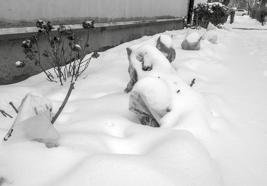 20 MOJA SPÓŁDZIELNIA 2/2019 ciąg dalszy ze str. 19 go odśnieżane są i posypywane piaskiem ulice, skrzyżowania, dojazdy do budynków.