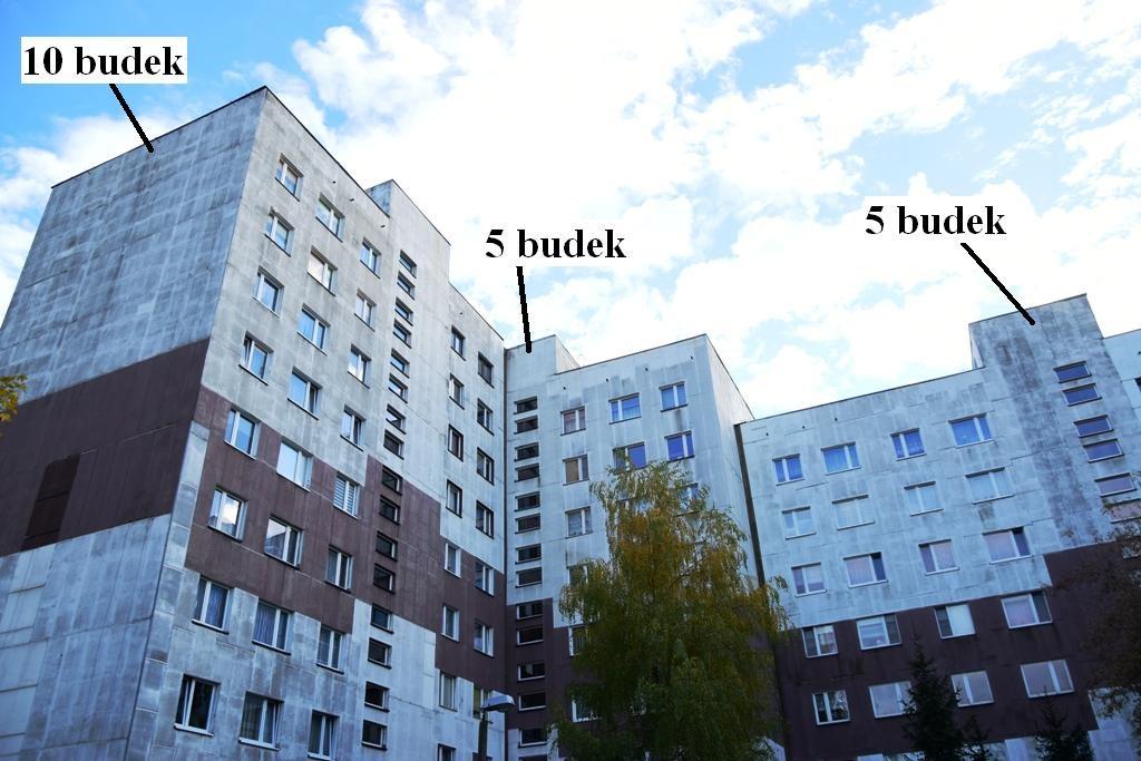 Fot.19.