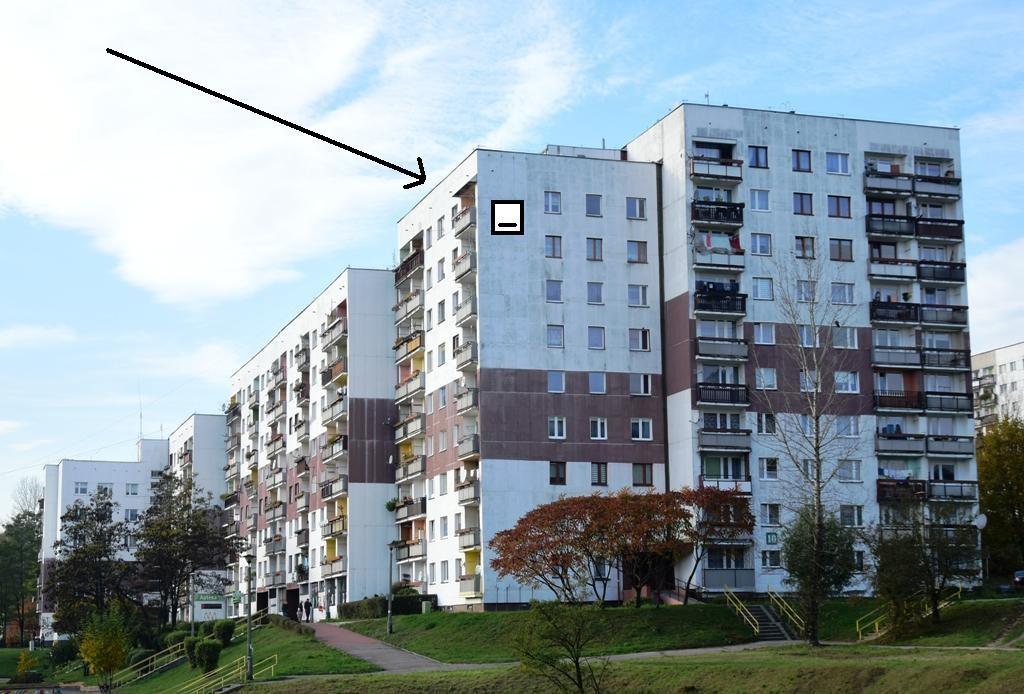 kawki (aut. Szymon Wójcik) Fot.22.