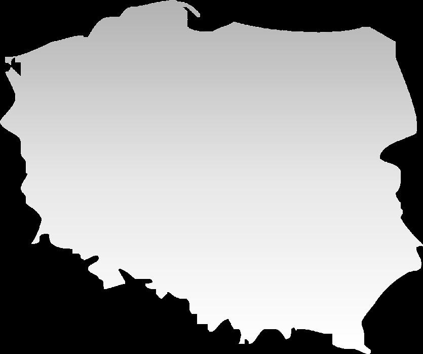 Sieć placówek i podstawowe dane finansowe Biznes i wyniki PLN 31.12.