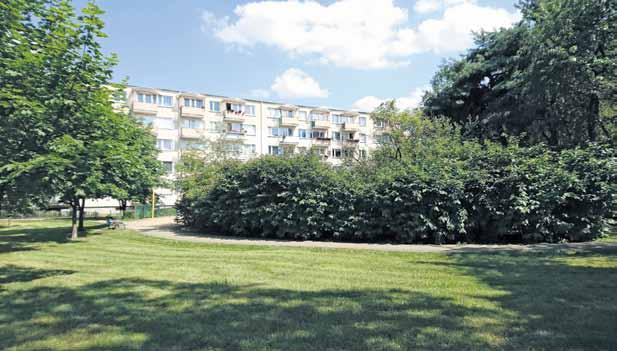 4 sierpień 2017 naszesprawy@toruntv.pl dokończenie ze str.