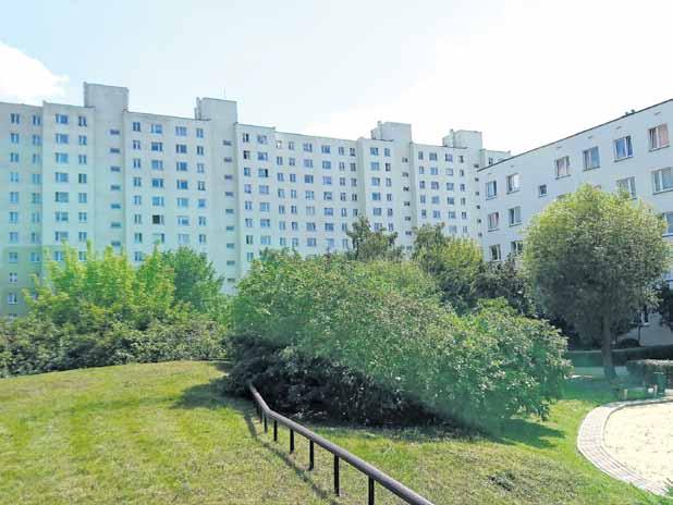 spółdzielni; szczególnie pożądanym kierunkiem stworzenia takiej sieci jest certyfikowana produkcja zdrowej ekologicznej żywności wyłącznie z pól polskich rolników, poprzez spółdzielczy i mieszany: