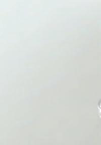 11 25 13,83 W