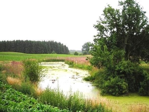oraz gromadzenie wód drenarskich, Piętrzenie