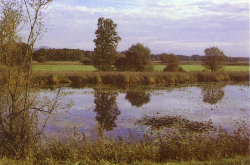 opadowych i