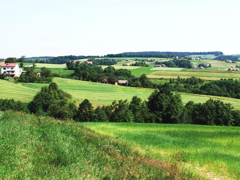 ukształtowanie i spadki terenu, powierzchnia lasów oraz mokradeł, a także jej zagospodarowanie.