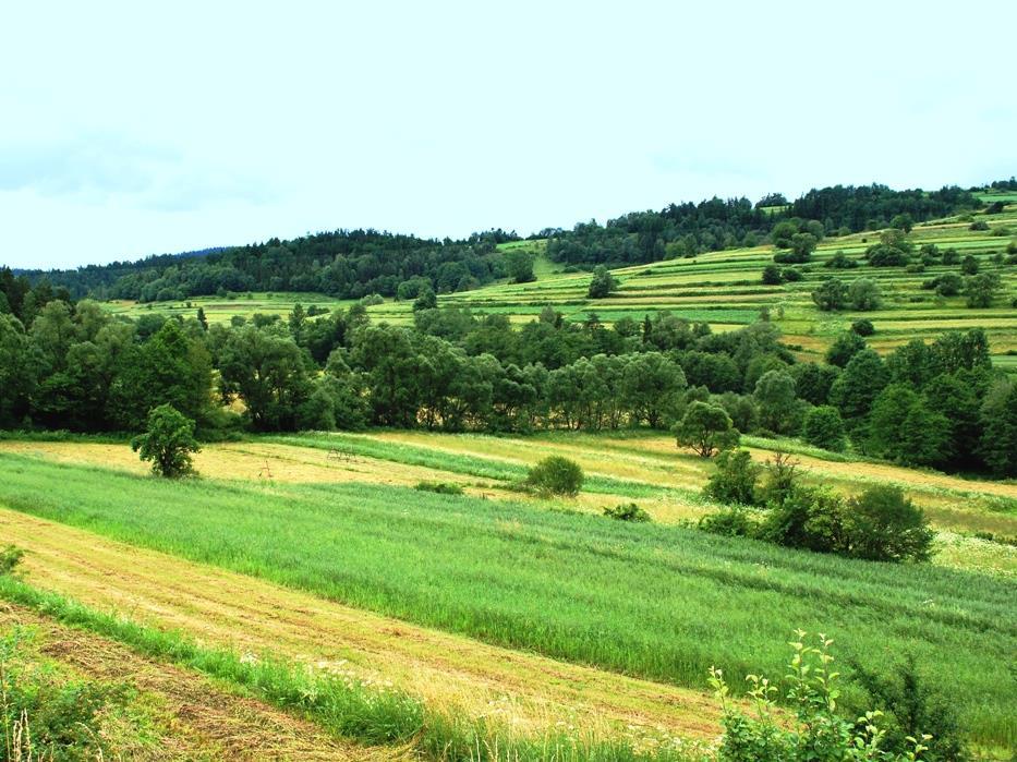 stosowanie zabiegów przeciwerozyjnych spowolniających spływy powierzchniowe wód