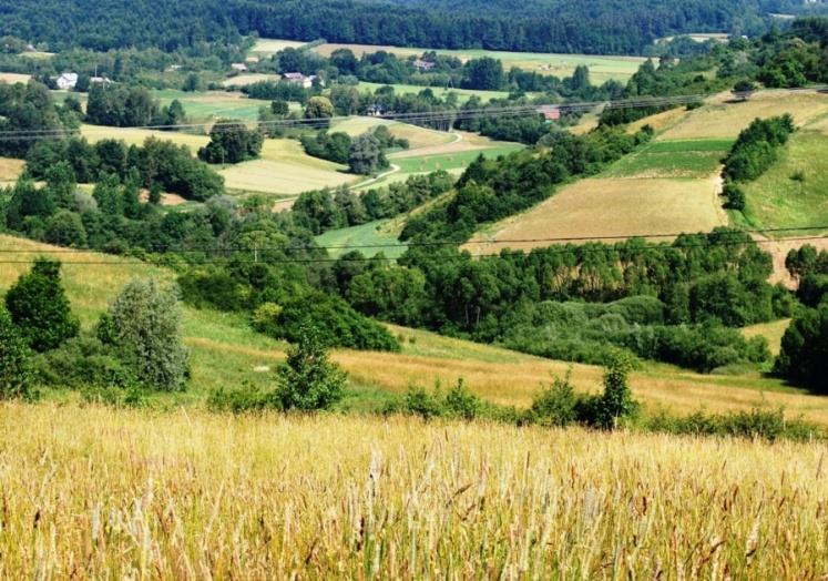 powierzchniowe, odtworzenie mokradeł i bagnisk na nieużytkach oraz