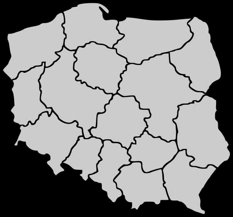Transport-sharing w Polsce Trójmiasto 756 wielkość floty 0,1 pojazdu/100 mieszkańców Poznań 1,8 pojazdu/km2 Warszawa 2 176 wielkość floty 8 459 wielkość floty 0,4 pojazdu/100 mieszkańców 0,5