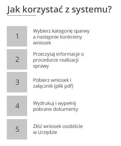 ELEMENTY STRONY - Kroki Miasta Stołeczne Warszawa - Księga Identyfikacji Wizualnej Portalu Miejskiego Strona 20 Na potrzeby objaśnienia Użytkownikowi procesu załatwiania spraw urzędowych