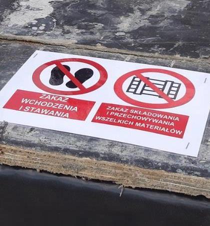 szczególności,