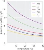 0/s17-04-effects-of-temperature-and-pre.