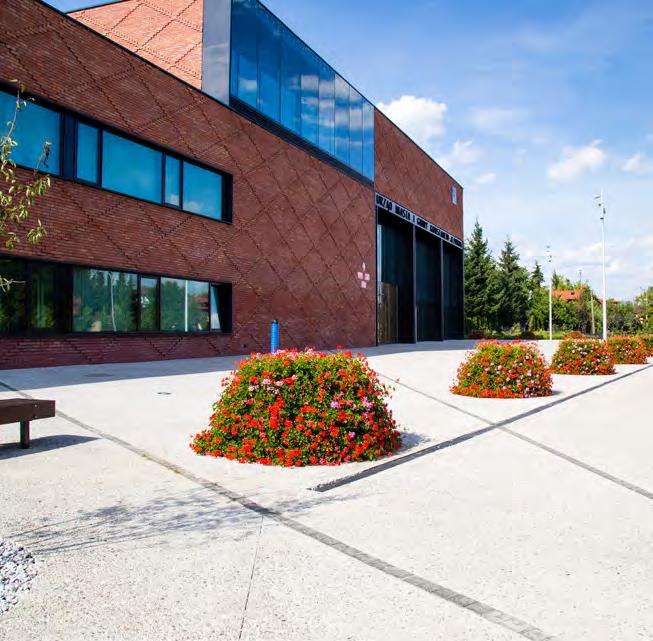 Decyzję o zakupie kwietników H750 podjęliśmy na podstawie jakości oraz okazałych rozmiarów produktu, który po odpowiednim wypełnieniu roślinnością tworzy zwartą, kwitnącą bryłę.