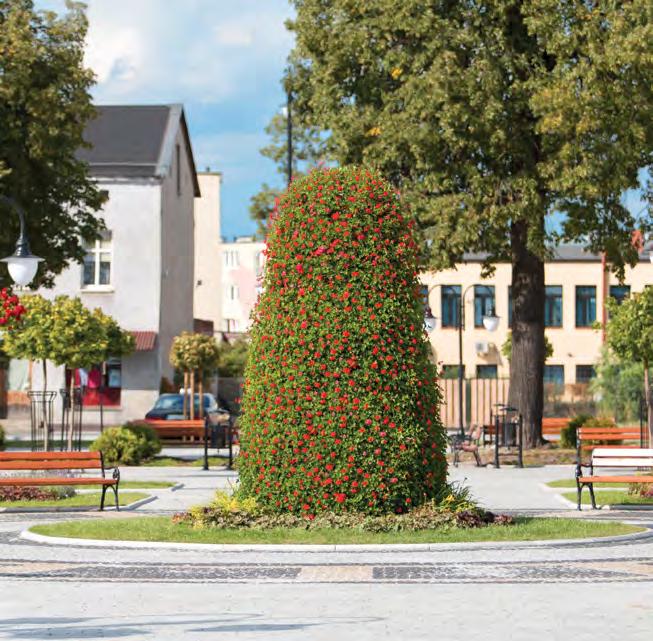 Dzięki kaskadowej konstrukcji H3000, która była specjalnym zamówieniem dla Kruszwicy, Rynek nasz wzbogacił się o następny piękny element dekoracyjny.