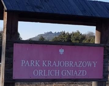 Park Krajobrazowy Orlich Gniazd wchodzi w skład Zespołu Jurajskich Parków Krajobrazowych.