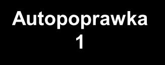 Kryterium 3 (typ projektu 4): Autopoprawka 1 W treści kryterium proponujemy skorygować zapis w mieszkaniach chronionych i o charakterze wspomaganym na zapis mieszkaniach chronionych i wspomaganych.