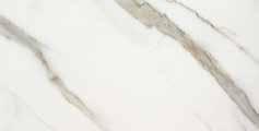 XL: 5+ 12+ seta or seta glace