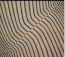 18, acrylic on fiberboard and wood Courtesy of the Starmach Gallery,