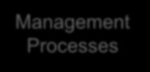 Management Processes