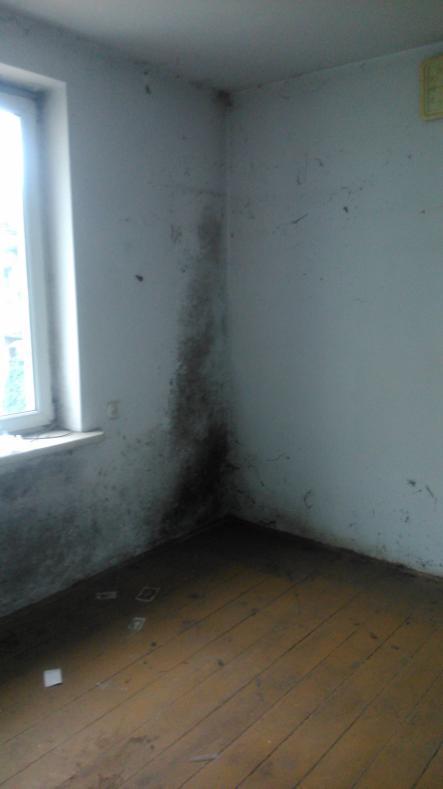 Zjęcie nr 23 wiok sufitu