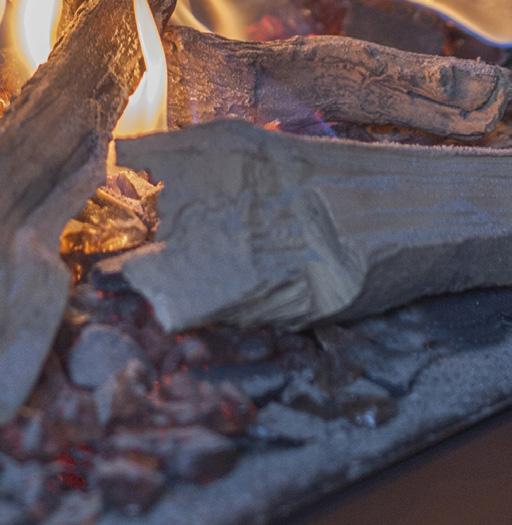 www.optiflame.pl