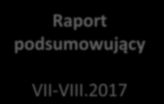 Raport podsumowujący VII-VIII.2017 Cel: Przedstawienie efektów projektu.