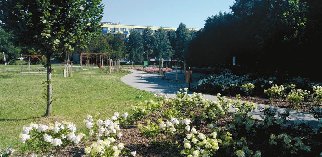 STUDIUM PRZYPADKU 8.1 Zielony Budżet w Lublinie Katarzyna Zaleska Biuro Miejskiego Architekta Zieleni, Urząd Miasta Lublin W 2017 r.