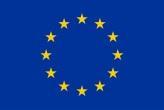 Plan Strategiczny -zarys Komisja Europejska Szczegółowe cele WPR na poziomie Unii Europejskiej Ustalenie zestawu wskaźników monitorowania Określenie ogólnych metod interwencji Państwa