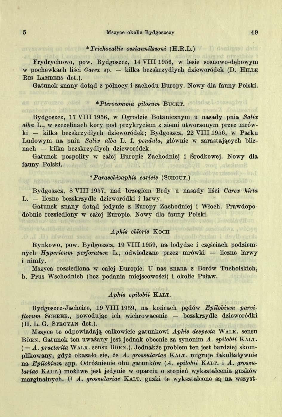 5 Mszyce okolic Bydgoszczy 4 9 * Trichocallis ossiannilssoni (H.R.L.) Frydrychowo, pow. Bydgoszcz, 14 VIII 1956, w lesie sosnowo-dębowym w pochewkach liści Garex sp.