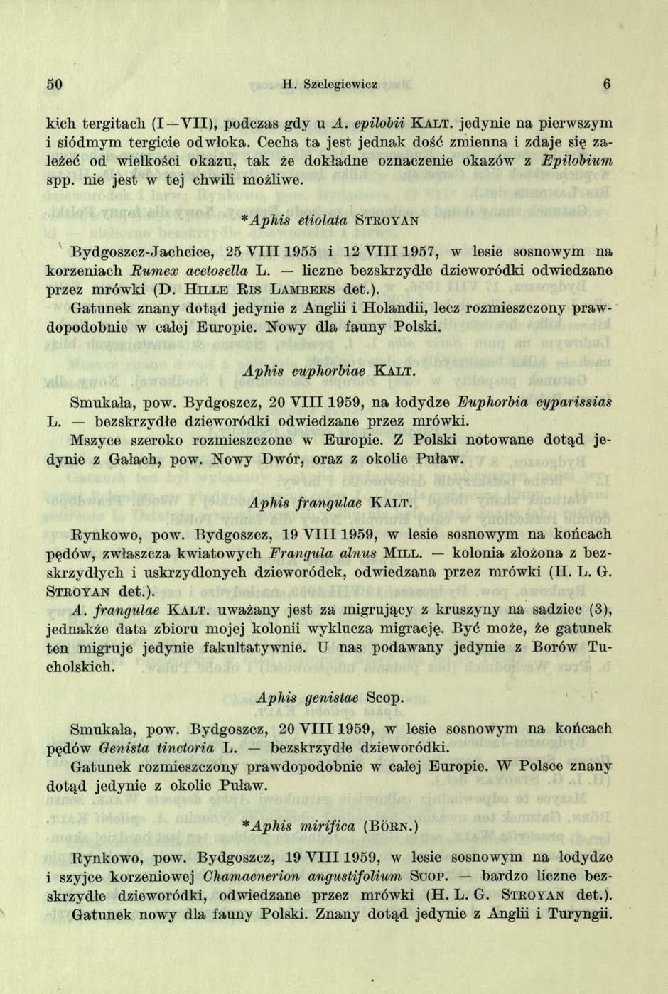 50 H. Szelegiewicz 6 kich tergitach (I Y II), podczas gdy u A. epilobii K a l t. jedynie na pierwszym i siódmym tergicie odwłoka.