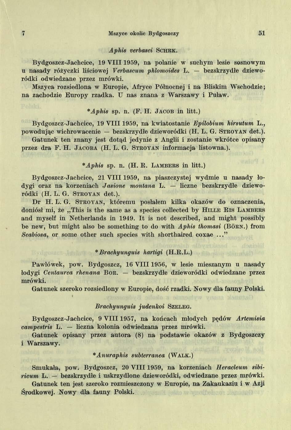 7 Mszyce okolic Bydgoszczy 51 Aphis verbasci S c h r k. Bydgoszcz-Jachcice, 19 V I I I 1959, na polanie w suchym lesie sosnowym u nasady różyczki liściowej Verbascum phlomoides L.