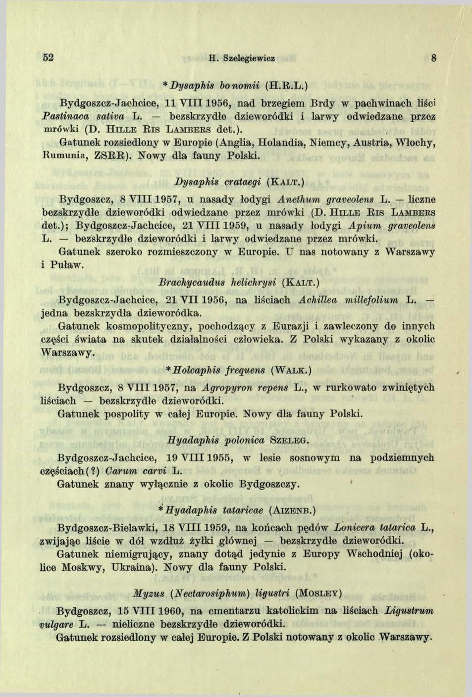 52 H. Szelegiewicz 8 *D ysaphis bonom ii (H.E.L.) Bydgoszcz-Jachcice, 11 V I I I 1956, nad brzegiem Brdy w pachwinach liści Pastinaca saliva L.