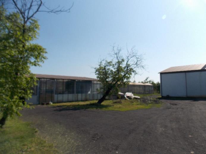 Wrota drewniane, metalowe oraz z blachy trapezowej Okna częściowo metalowe, częściowo drewniane Rury i rynny spustowe z blachy ocynkowanej malowane Instalacje: -