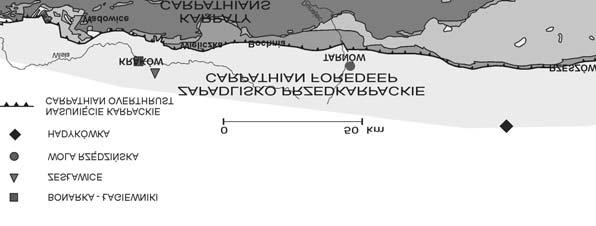 I³y te stratygraficznie reprezentuj¹ górny torton (warstwy chodenickie, grabowieckie), dolny torton oraz dolny sarmat (rejon D¹browy Tarnowskiej).