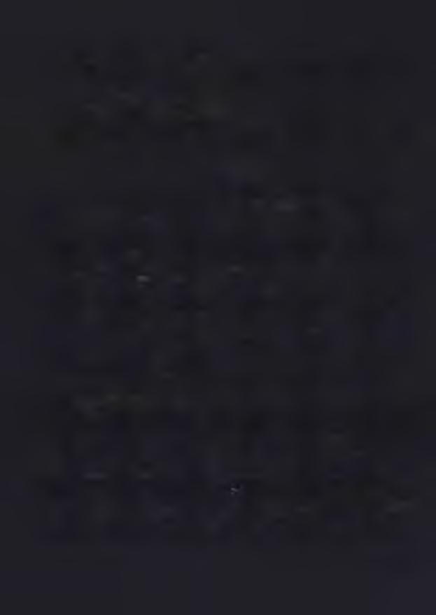 - Pani Anna Konieczka-Ławreszuk - adwokat, - Pani Anna Kozłowska - starszy asystent sędziego Wojewódzkiego Sądu Administracyjnego w Białymstoku, - Pani Małgorzata Orzeł - notariusz, - Pani Urszula