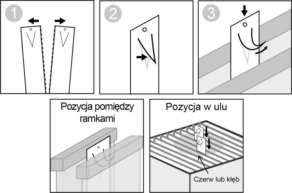 4.9 Dawkowanie i droga(i) podawania W ulu: Użyć dwóch pasków na ul (tzn. 1g amitrazu na ul). 1. Rozdzielić podwójny pasek. 2. Wypchnąć wycięcie paska w kształcie litery V na zewnątrz. 3.