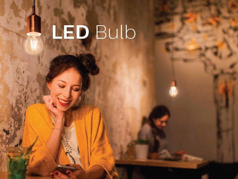 LED bulbs -Europe - Premium -