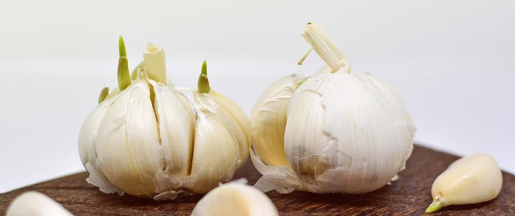 Domowy przepis na ochronę przed pasożytami Składniki: 10 główek czosnku, sok z kiszonych ogórków. Wykonanie: Główki czosnku dokładnie obieramy, a następnie starannie rozdrabniamy (miażdżymy).