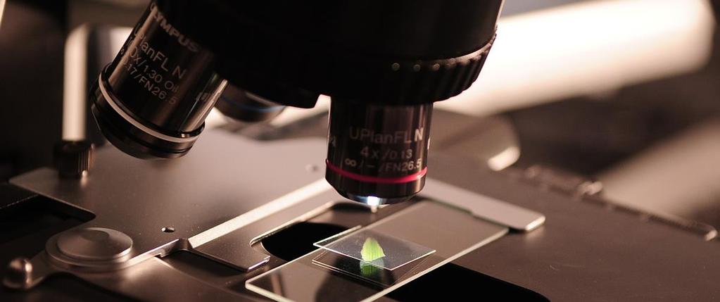 Jak diagnozować obecność pasożytów? W zdiagnozowaniu, który pasożyt stoi za infekcją mogą pomóc zwłaszcza dwie metody diagnostyki: 1.