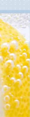 PASTA 75 ML 30944839