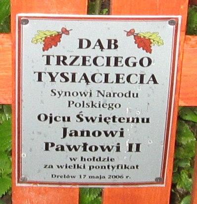 W miejscowoci Horodek jest wicej opadów ni w okolicy, równie wicej bije piorunów gdy ziemia jest silnie namagnesowana. Z inicjatywy ks.