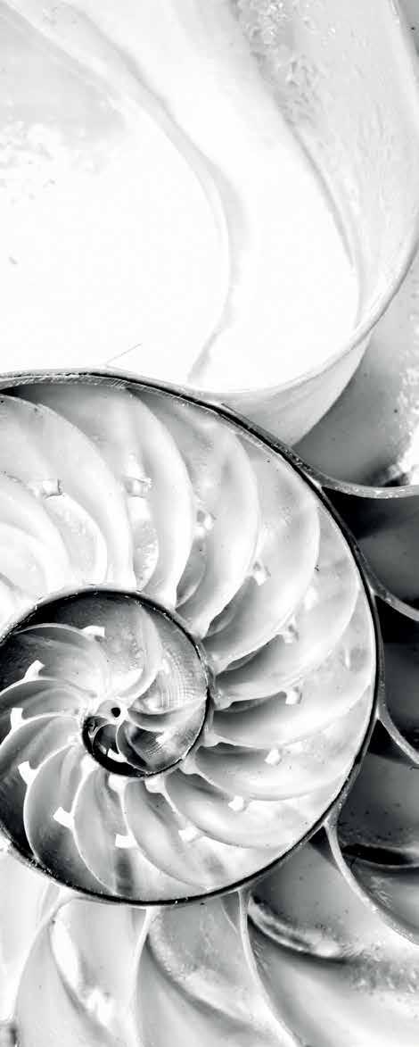 NOWA TECHNOLOGIA NAUTILUS. Perfekcyjna, cicha natura. Poznaj technologię NAUTILUS na naszym kanale YouTube [faberairmatters] WIĘKSZA MOC, MNIEJSZY HAŁAS.
