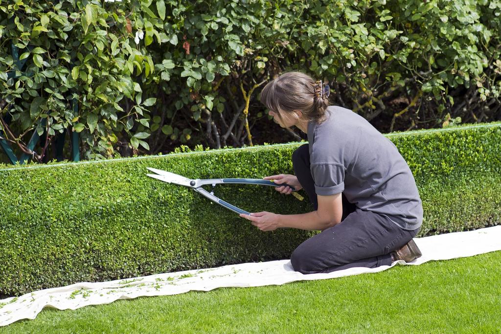 Opis wymagań stanowisk pracy Zawód szkolny: technik architektury krajobrazu Kod zawodu: 0 Źródło: https://pixabay.com/pl/topiary-okno-zabezpiecze%c%8-no%c%bcyce-86907/ [dostęp: 0.