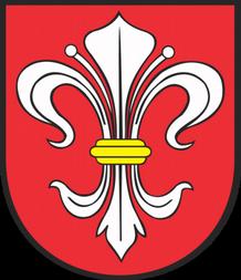 przedstawicieli Grupy