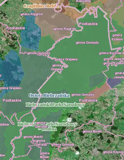 Rysunek 15. Obszary chronione na terenie gminy Źródło: http://geoserwis.gdos.gov.pl Większość terenu gminy znajduje się w zasięgu obszarów chronionych. Brak zadań ochronnych dla znajdujących się tu.