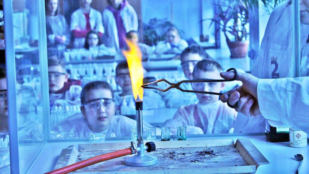 BIOMED projekt pod