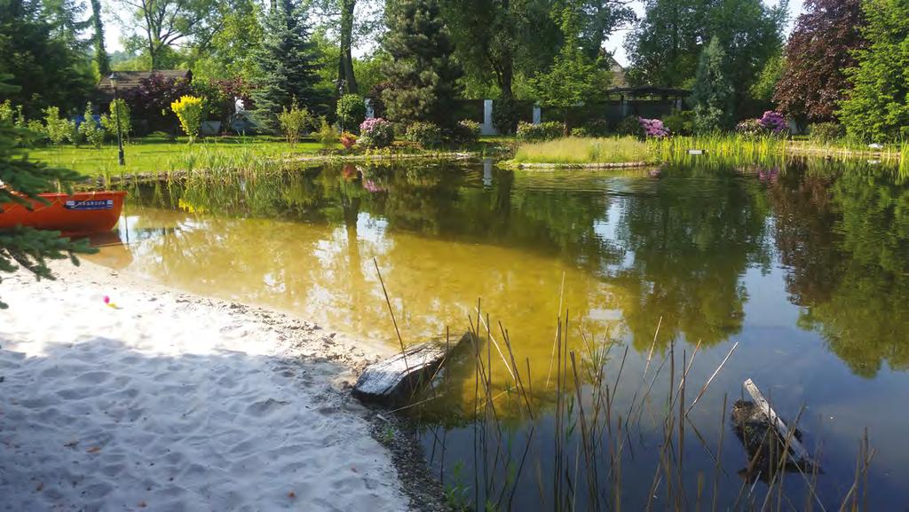 Typ I Stawy ekstensywne Typ II Stawy oparte na hydrobotanice i filtracji mechanicznobiologicznej, bez złóż filtracyjnych Zalecana wielkość od 120 m² Stosunek strefy regeneracyjnej do strefy