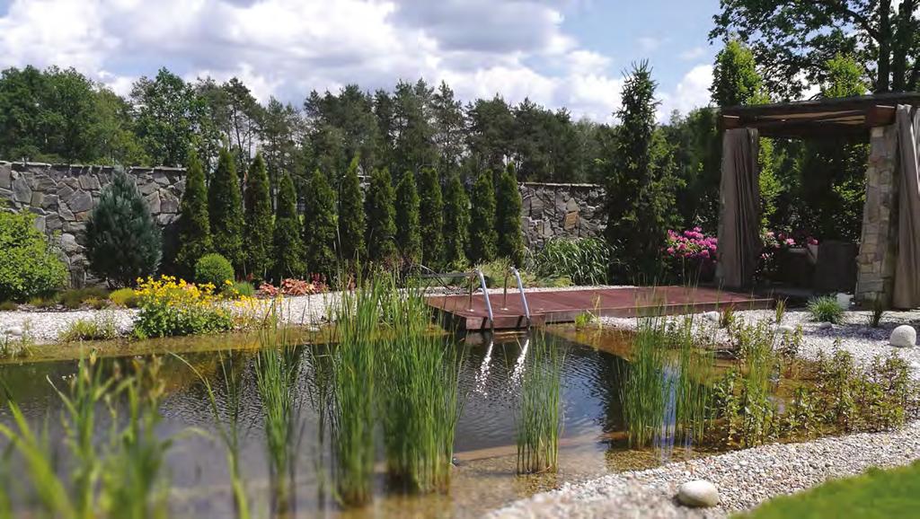 Typ III Stawy oparte na hydrobotanice, filtrze mineralnym i dodatkowych systemach filtracyjnych Typ IV Stawy i ekobaseny z szybkim przepływem wody w filtrze mineralnym Zalecana wielkość od 80 m²