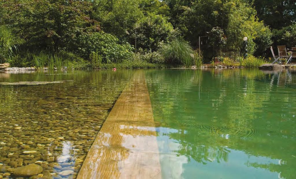 Jak filtrowana jest woda w naturalnym stawie kąpielowym?
