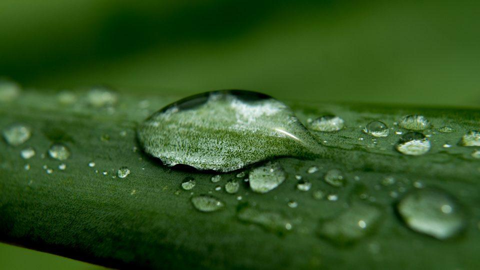 Ochrona klimatu. Bardziej realistyczne dane dotyczące zużycia paliwa pomagają realizować globalne projekty ekologiczne związane z ochroną klimatu i zmniejszać obciążenie środowiska naturalnego.